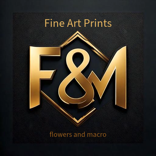 F&M Art Shop
